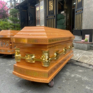 ÁO QUAN KIỂU MẪU 23