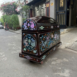 ÁO QUAN KIỂU MẪU 06