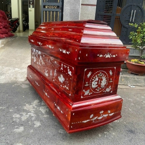 ÁO QUAN KIỂU MẪU 12