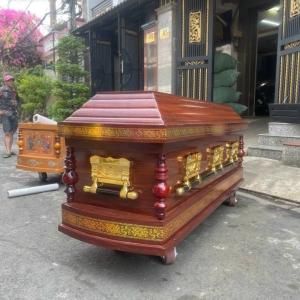 ÁO QUAN KIỂU MẪU 11