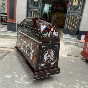 ÁO QUAN KIỂU MẪU 26